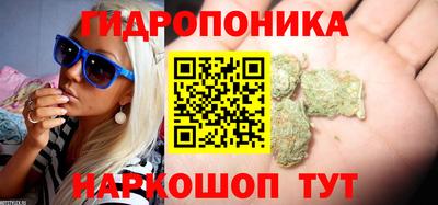a pvp Лесосибирск