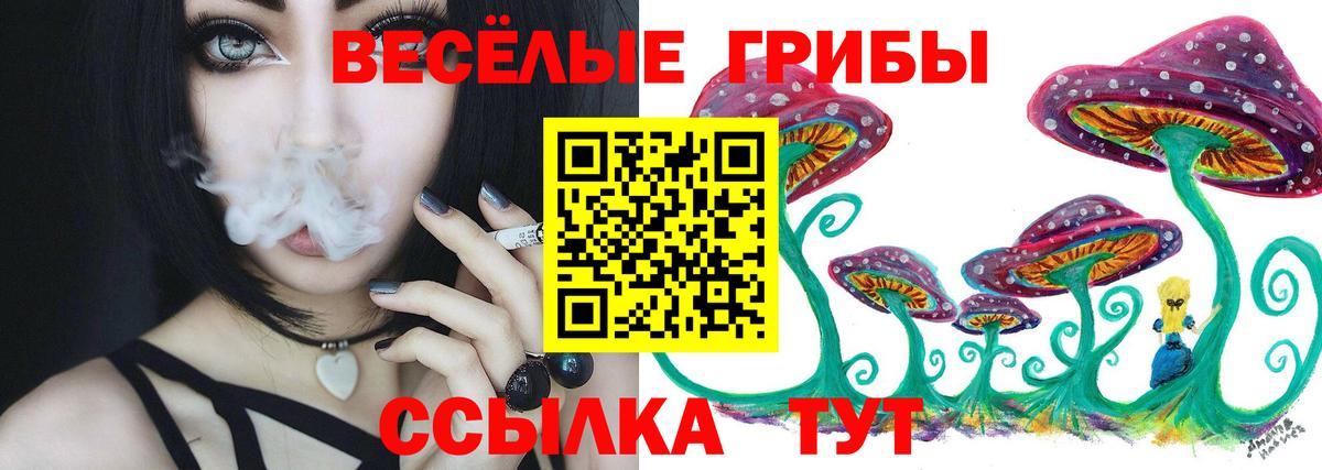 Галлюциногенные грибы прущие грибы Искитим